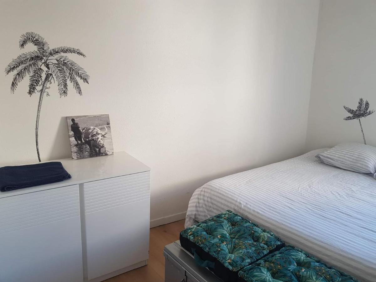 Eco'Cooning Daire Nîmes Dış mekan fotoğraf
